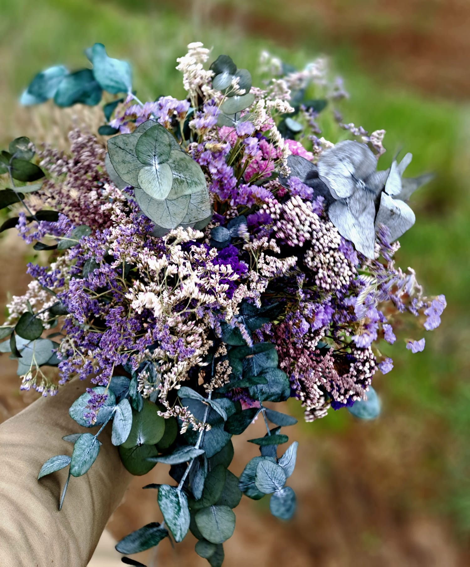Ramo purple spring Ramo purple spring